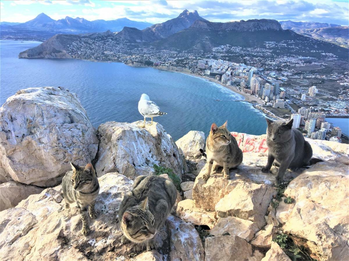 Villa Esmeralda Altea la Vieja Eksteriør billede